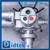 WCB Electric Gate Valve