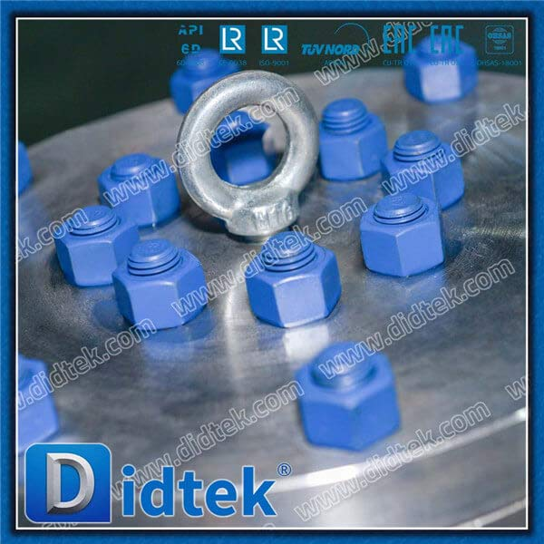 High Pressure Monel Flanged 6 inch Check Valve