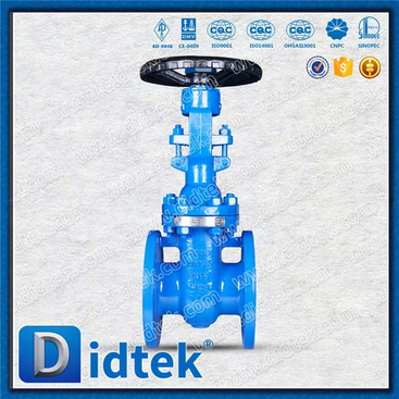 DIN Gate Valve-DN65, WCB, Hand wheel, Flange