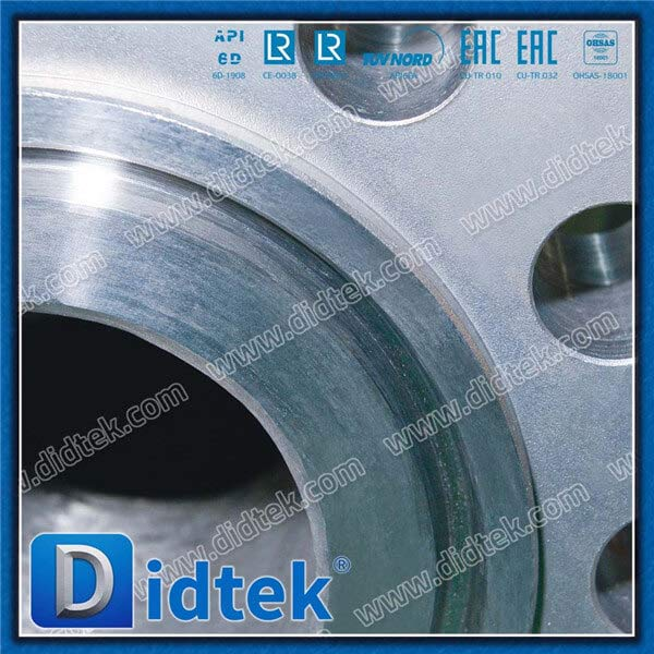 High Pressure Monel Flanged 6 inch Check Valve