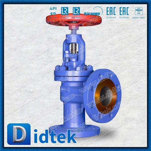 1.0619 SS304 Spring Angle Globe Check Valve