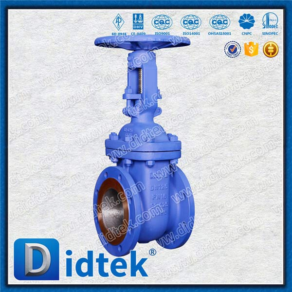 DIN Gate Valve-DN125, GS-C25, Hand wheel, Flange