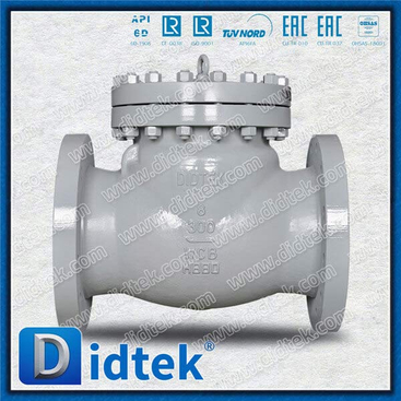 CS WCB 8'' 300 Check Valve China
