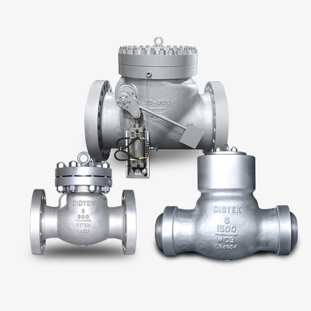 Check Valve Check Valve
