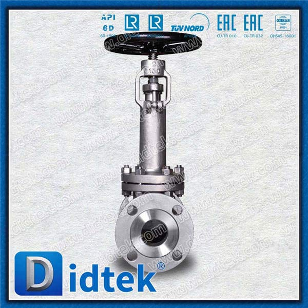 Cryogenic Globe Valve With F316 Material Trim No.10