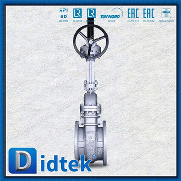 Carbon Steel Gear Operator RF Trim.8 Gate Valve
