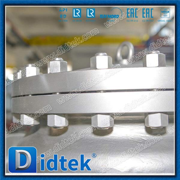 S32760 6A 16'' Flanged Full Opening Renewable Seat Horizontal Swing Check Valve