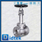 Cryogenic Globe Valve With F316 Material Trim No.10