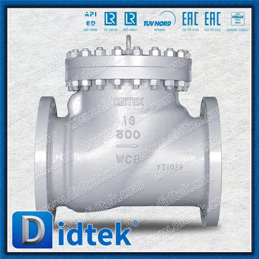 API6D Full Open Full Bore ANSI Class 300 Swing Check Valve