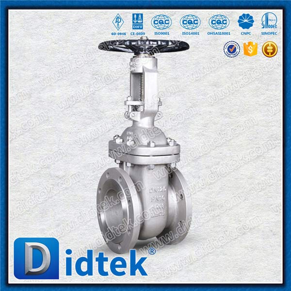 DIN Gate Valve 1.4408 DN125 PN10