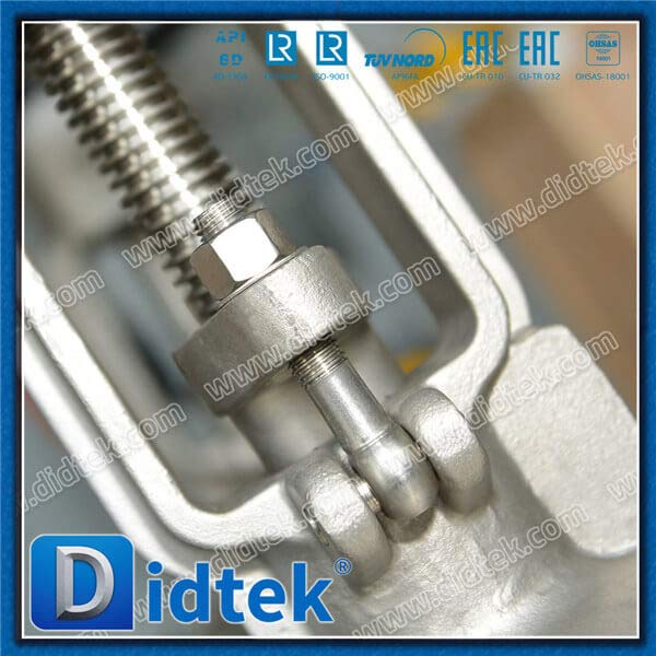 317 CG8M OS&Y 8'' 300LB Gate Valve