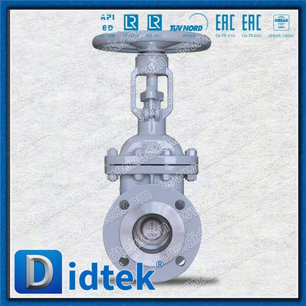 ASTM A351 CF8M BB Gate Valve Trim 10
