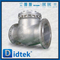 S32760 6A 16'' Flanged Full Opening Renewable Seat Horizontal Swing Check Valve