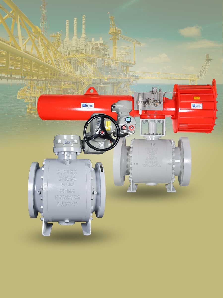 6.Actuator Valve
