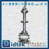 Cryogenic PCTFE Seat F316 Socket Welded Ball Valve
