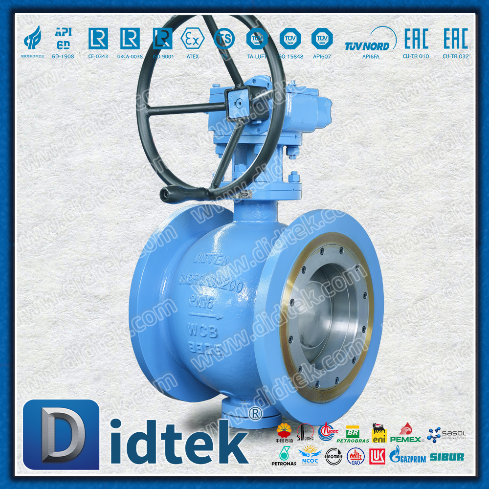 Eccentic Segment Ball Flange Connections Ball Valve