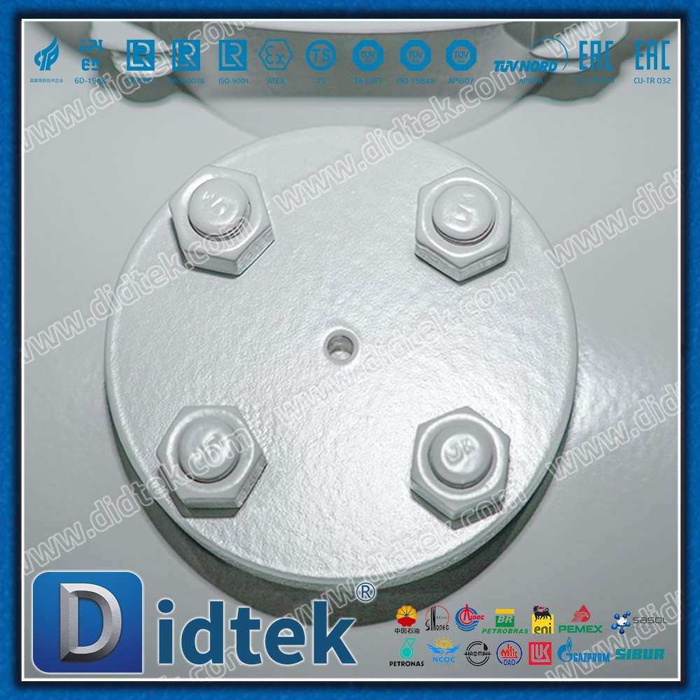 Lip Seal with Vent & Drain Flange Trunnion Ball Valve