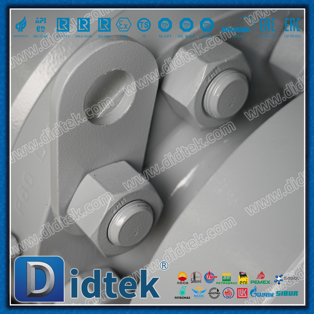 Didtek F51 Trim Metal To Metal F60 Trunnion Ball Valves Hard Seal