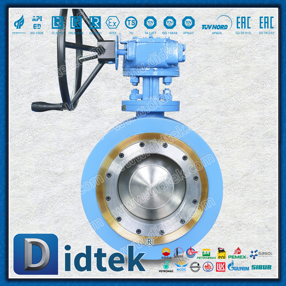 Eccentic Segment Ball Flange Connections Ball Valve