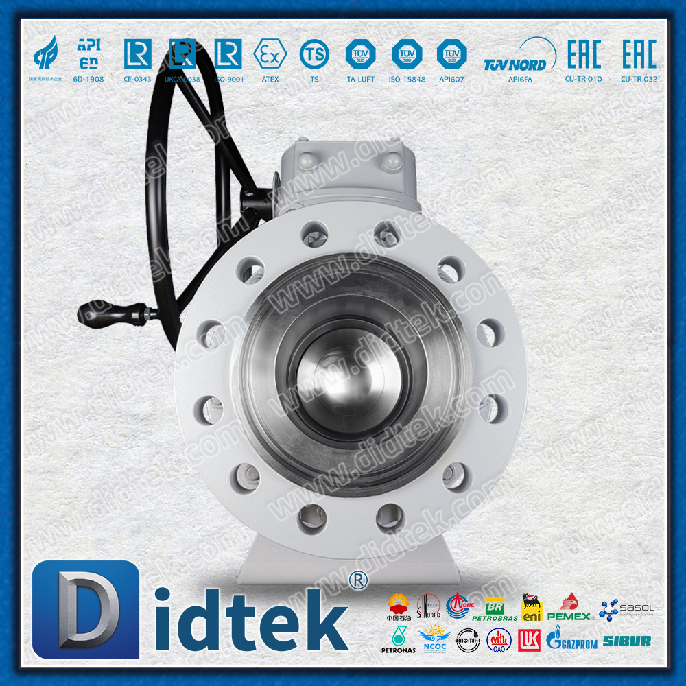 Lip Seal with Vent & Drain Flange Trunnion Ball Valve