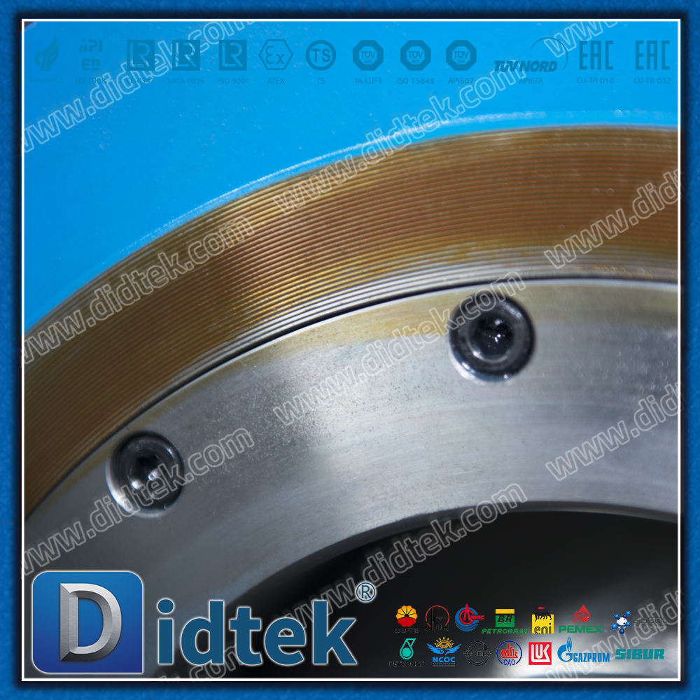 Eccentic Segment Ball Flange Connections Ball Valve