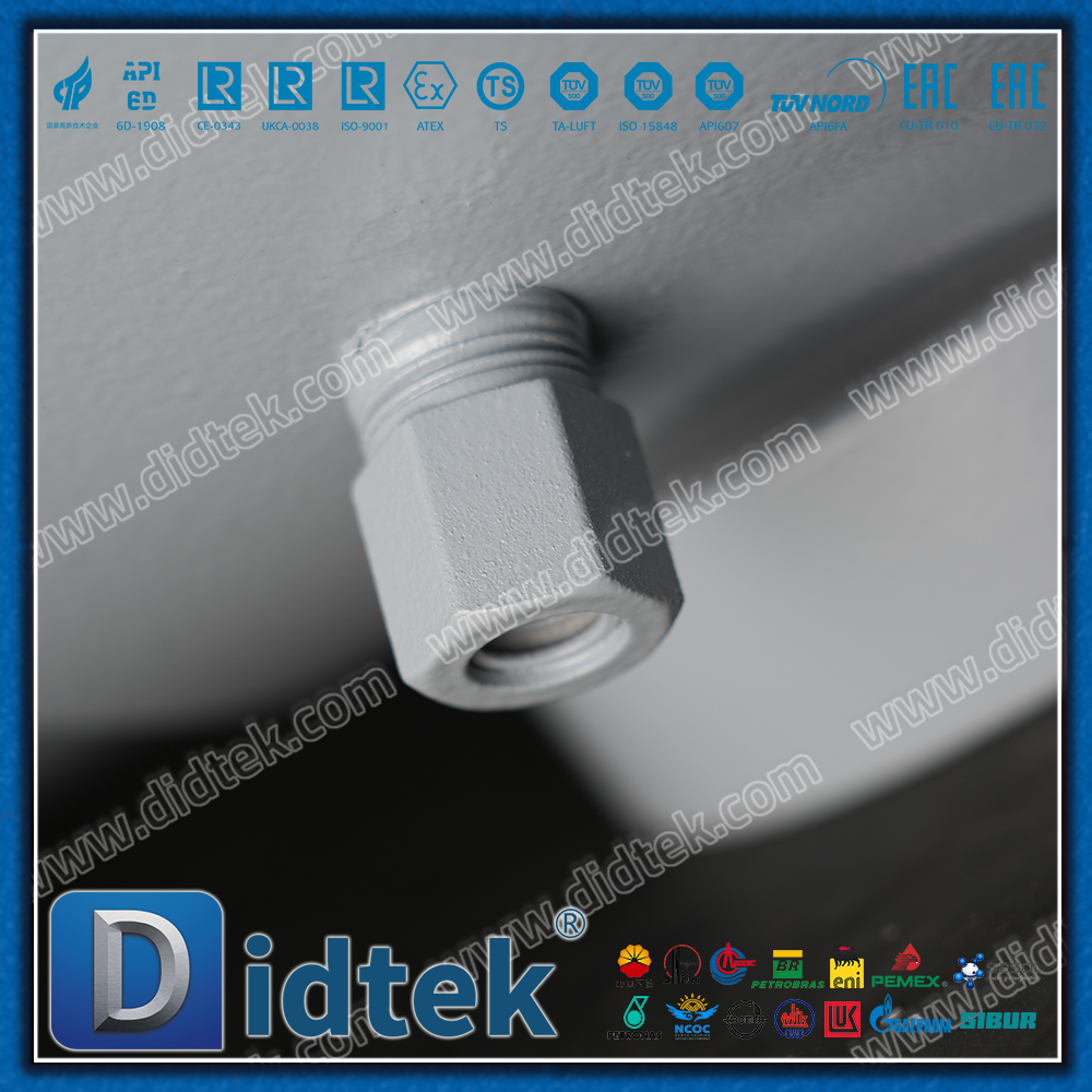 Didtek 4130 Flange FC Single Acting Pneumatic Actuator API6A Forged Steel Ball Valve