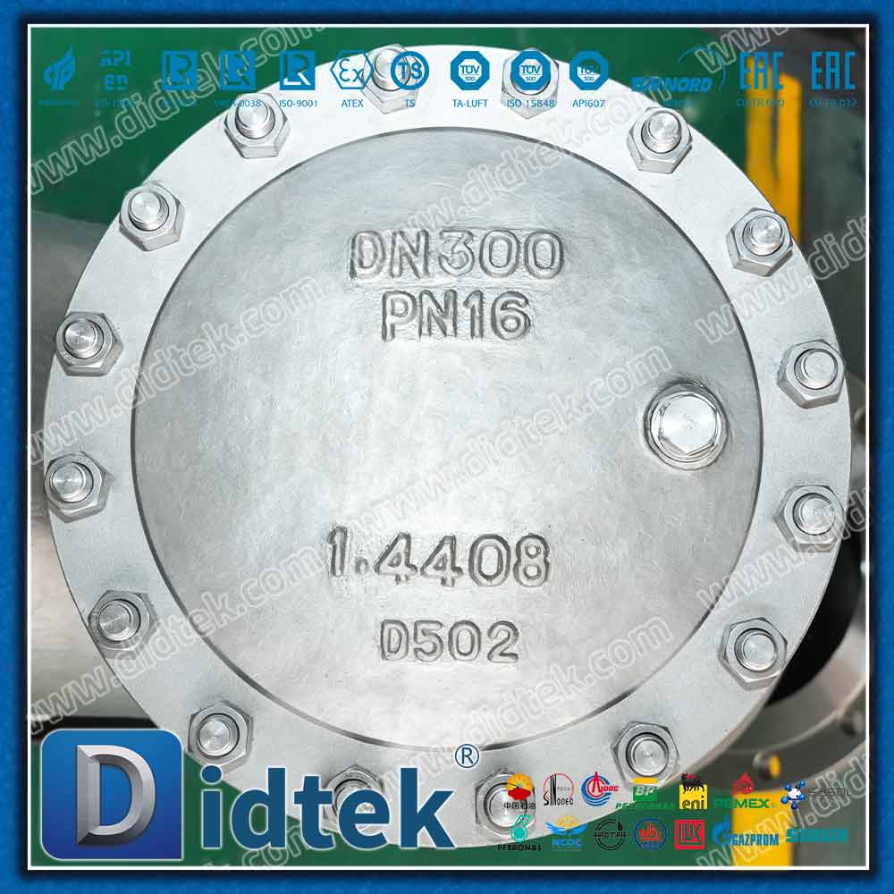 DIN EN 1.4408 Y Strainer With 80 Mesh