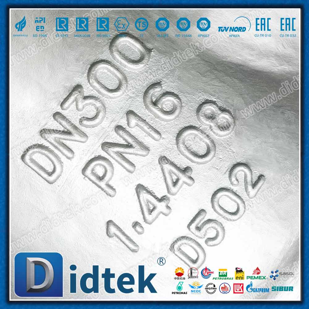 DIN EN 1.4408 Y Strainer With 80 Mesh