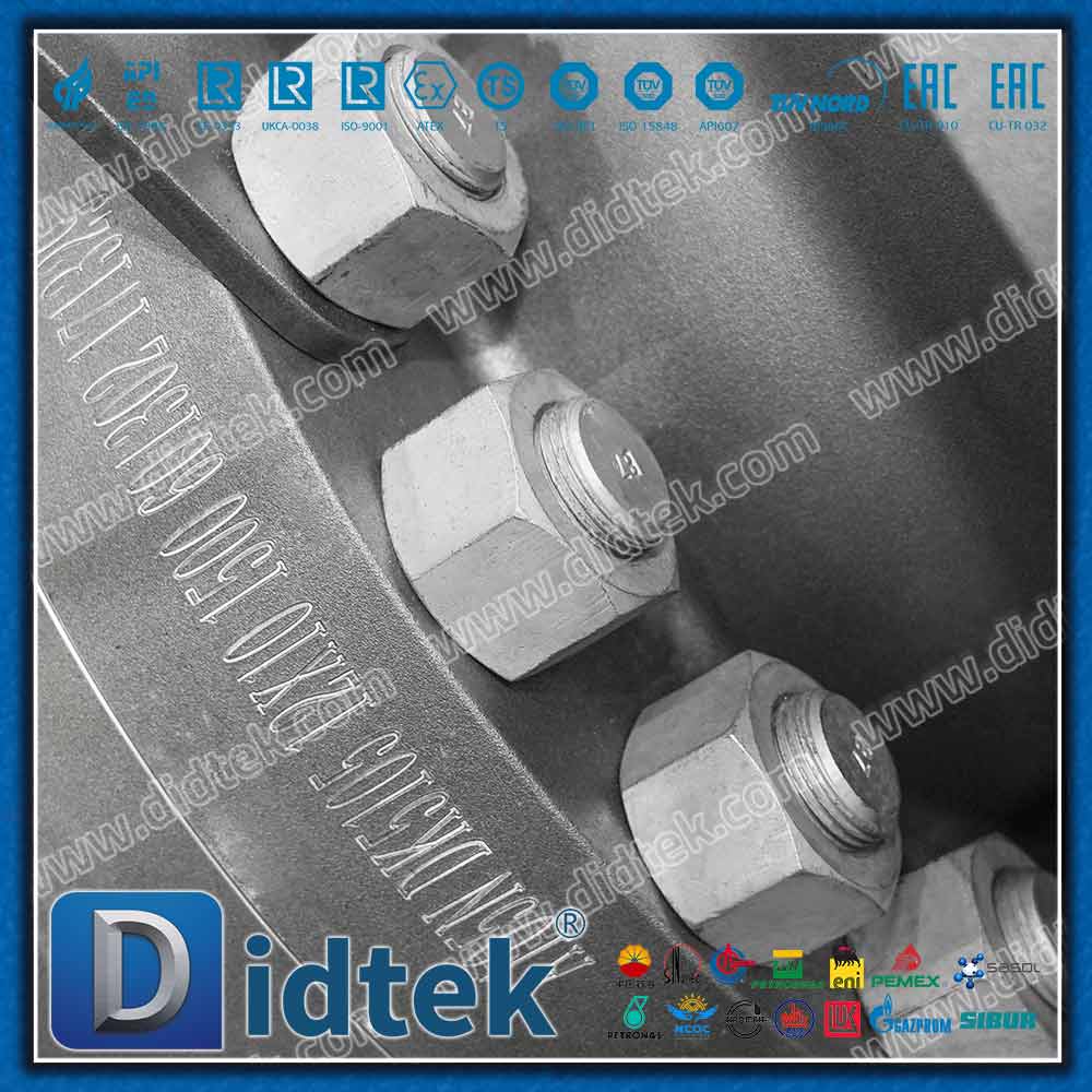 SPE ✖️ DPE Double Block Bleed Type B Trunnion Ball Valve