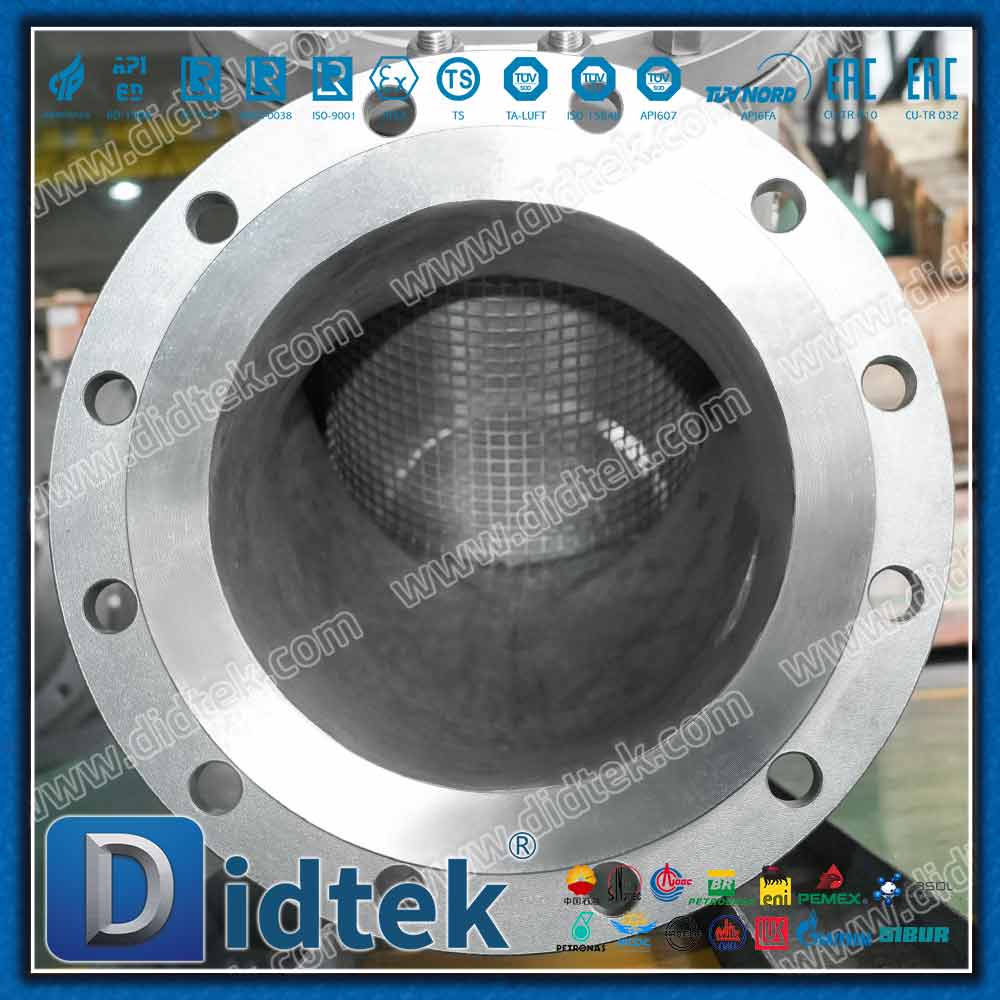 DIN EN 1.4408 Y Strainer With 80 Mesh