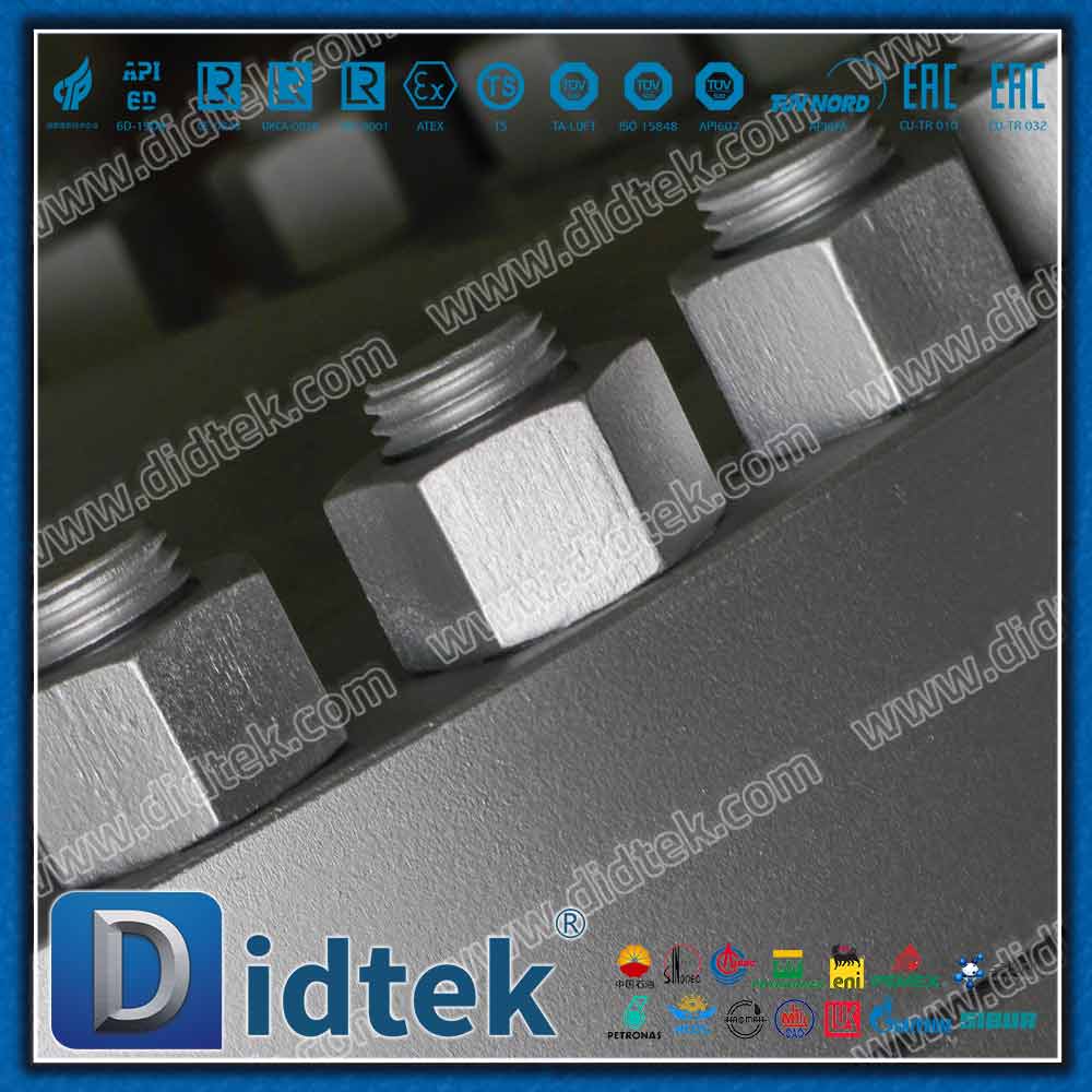 Cast Chromium‑Molybdenum Alloy Steel WC6 Swing Check Valve